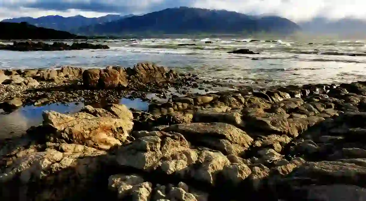 Kaikoura Seascape Before the Earthquake