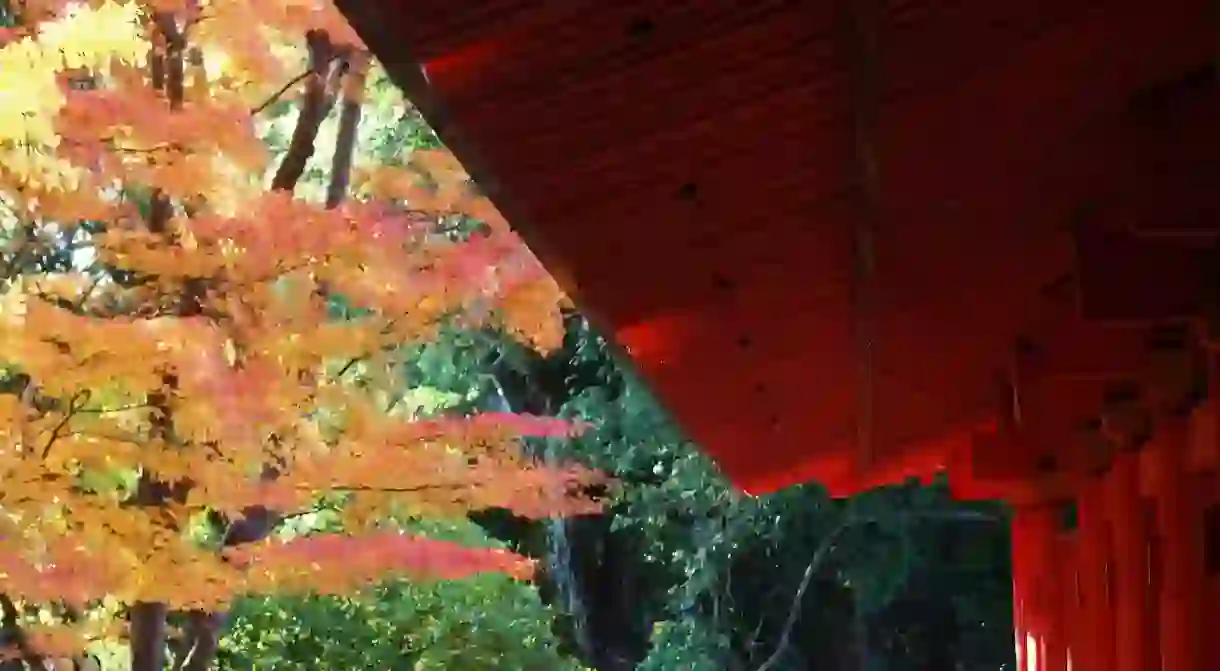 Kasuga Shrine in autumn