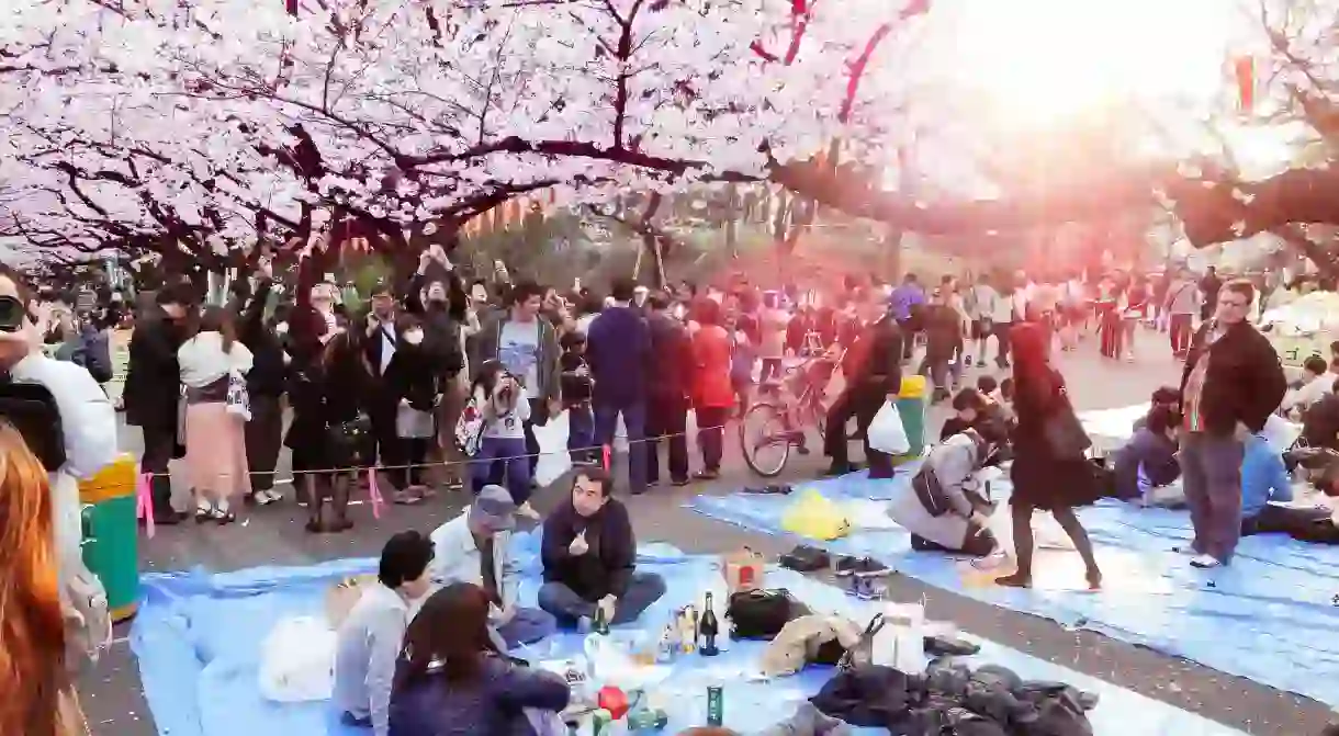 Hanami at Ueno Park 2013