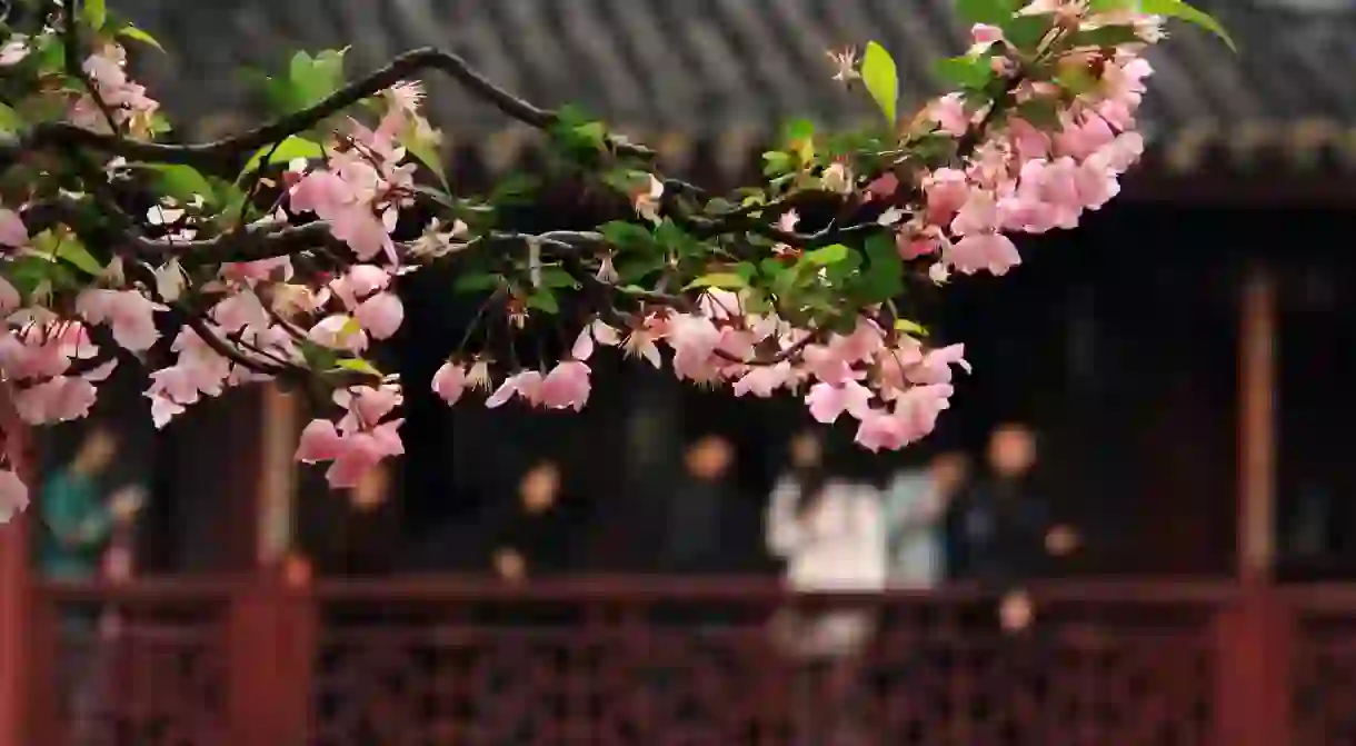 Spring in Suzhou