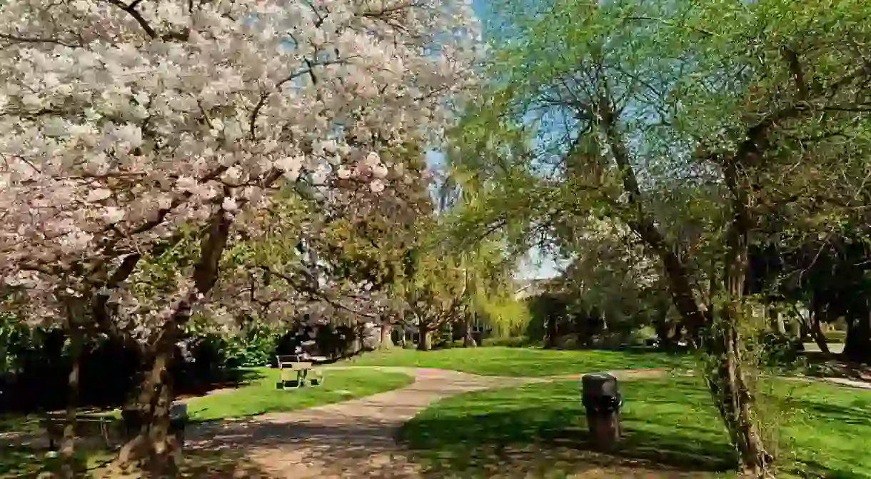 Alvin Larkins Park, Seattle