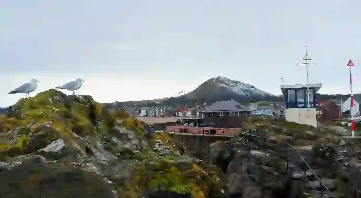 Looking Towards a Snowy North Berwick Law