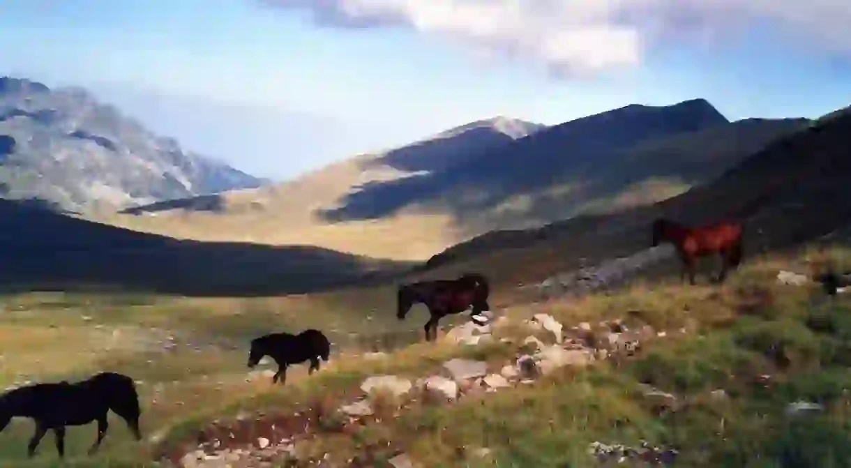 Rhodopes, Bulgaria