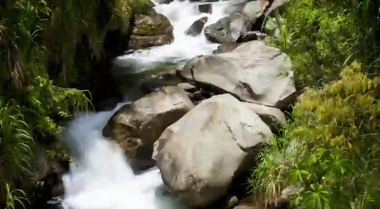 A river in Costa Rica