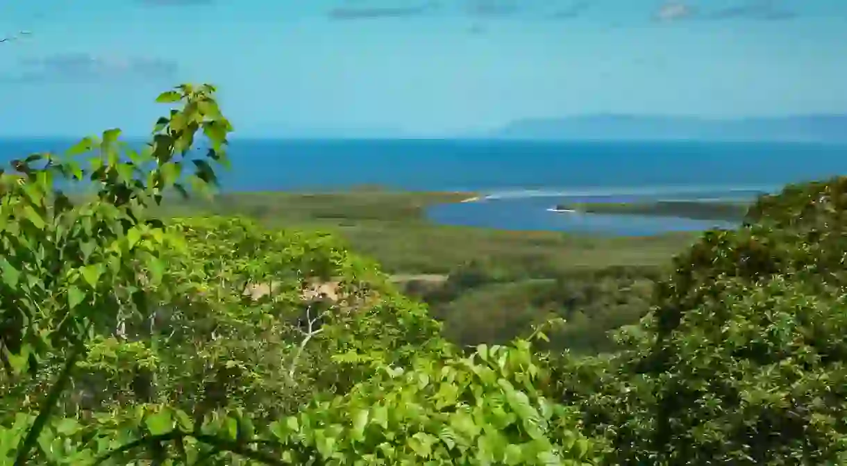 Daintree National Park