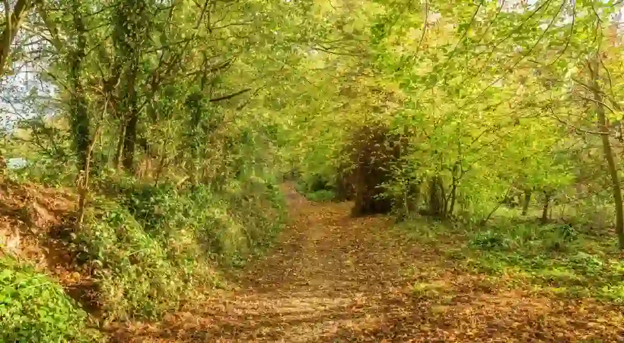 Devon in autumn