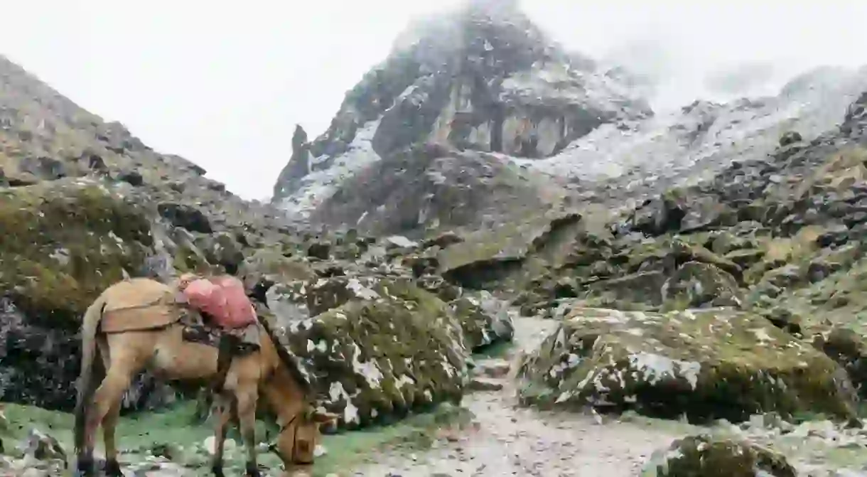 A view along the Salkantay Trail