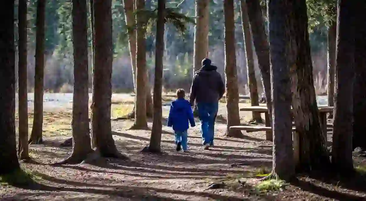 Father and child walking in the forest