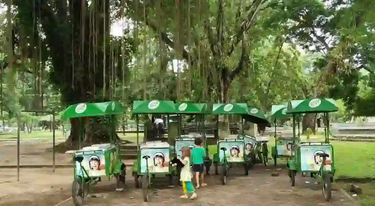 Viharamahadevi Park in Cinnamon Gardens / Courtesy of the author