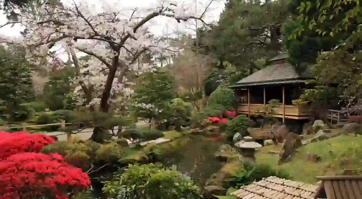 Japanese Tea Garden