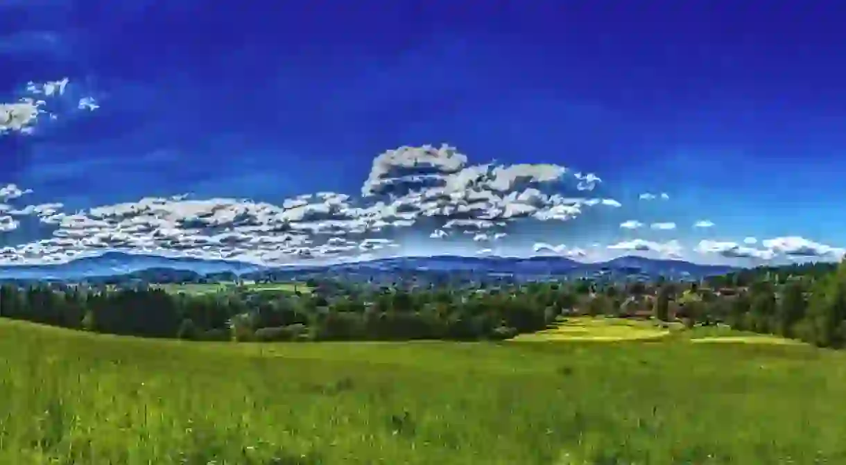 Bavarian National Park panorama