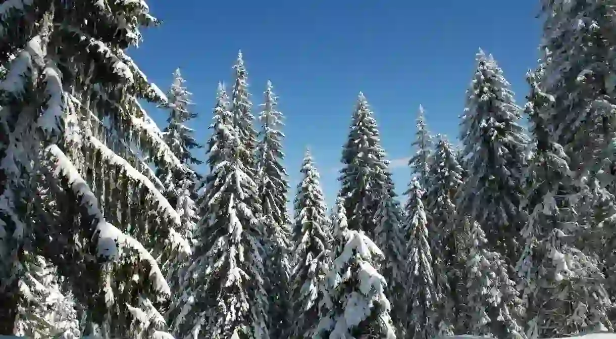 Pamporovo