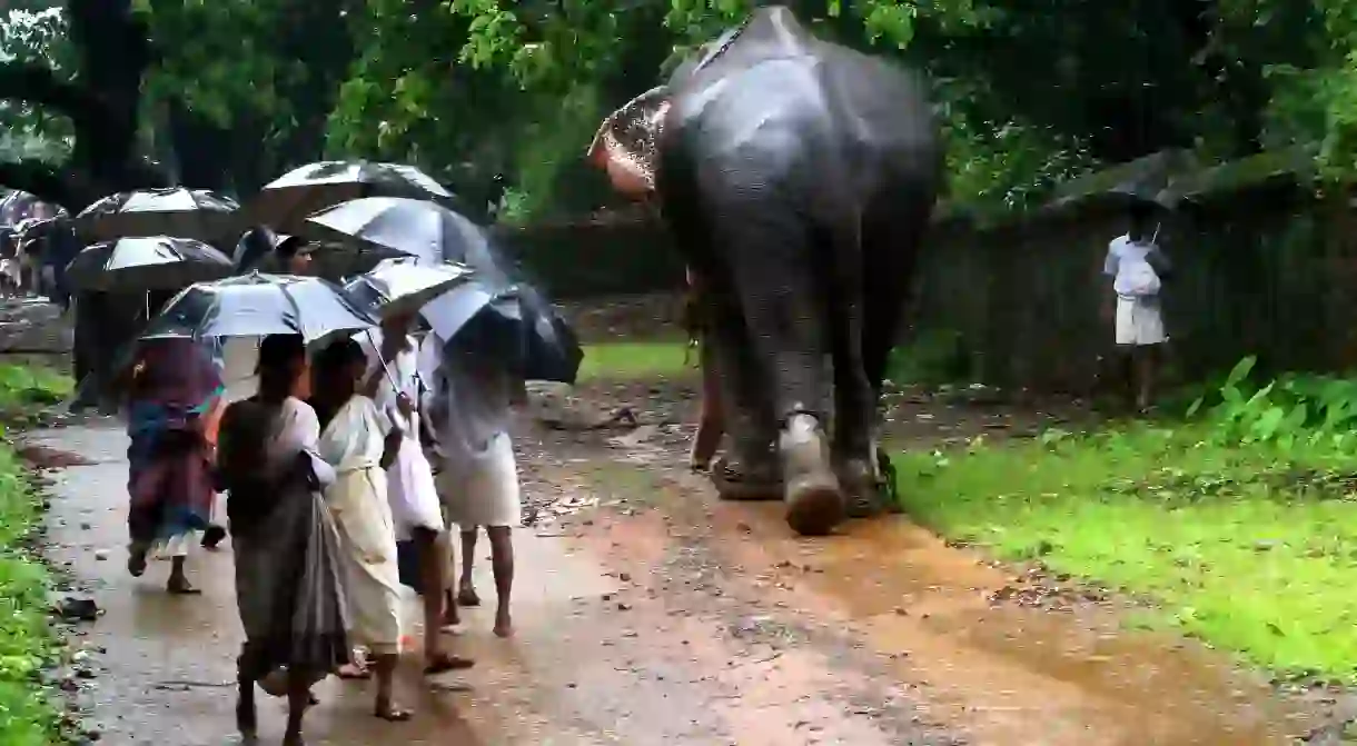 Kerala, Gods Own Country