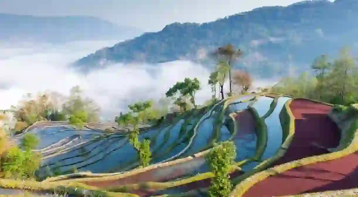 Sunrise color of rice terraces in Yuan Yang