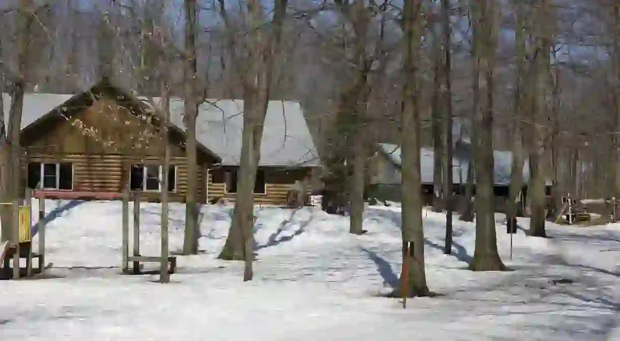 A sugar maple farm in Canada