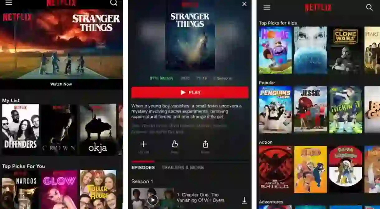 Netflix options