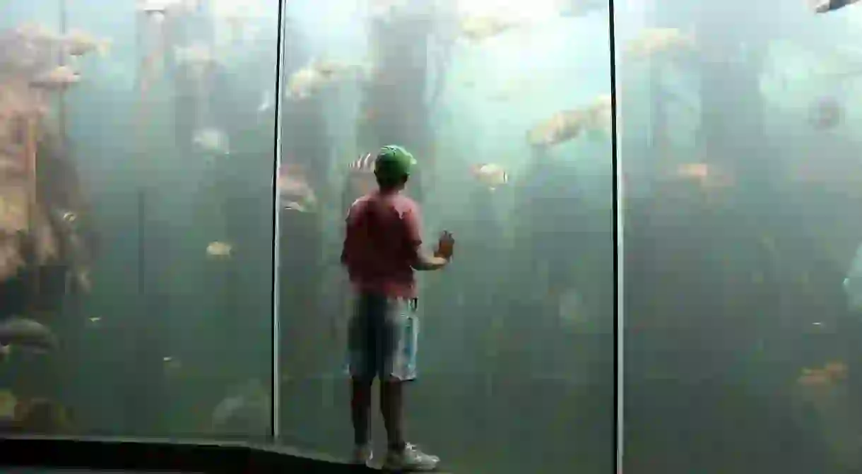 Two Oceans Aquarium