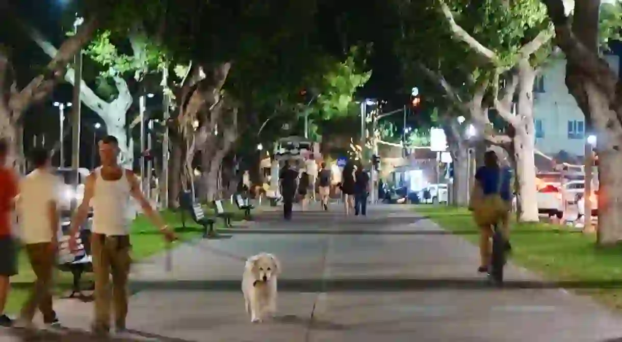 Tel Aviv at night