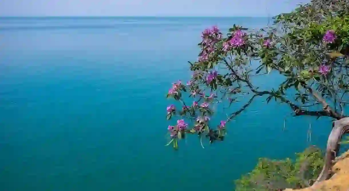 Aerial view of Batumi Coast