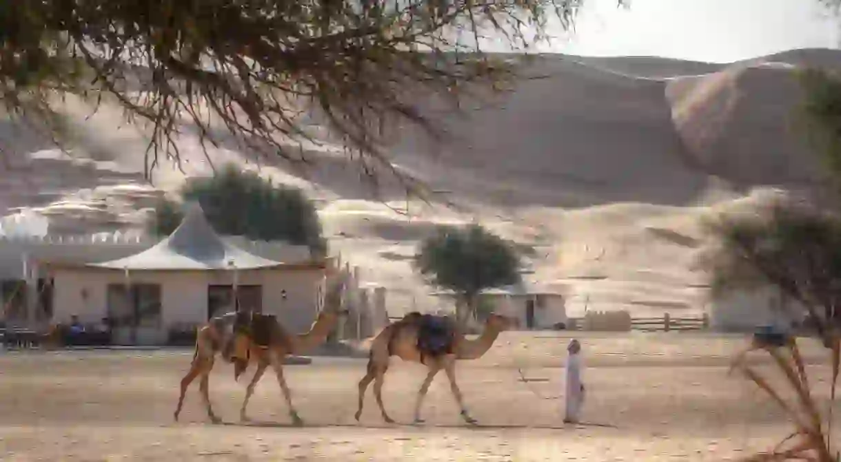 Desert Camp © Prasad Pillai