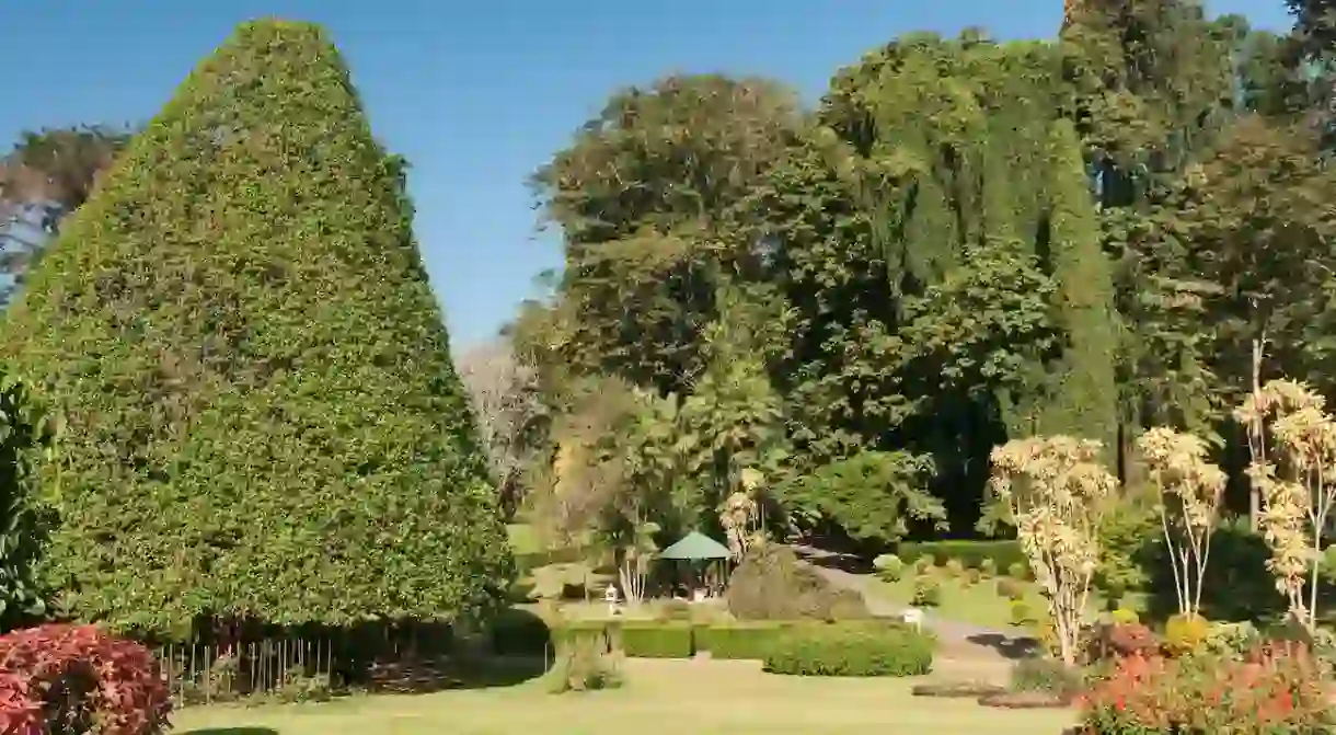 The Royal Botanic Gardens in Kandy