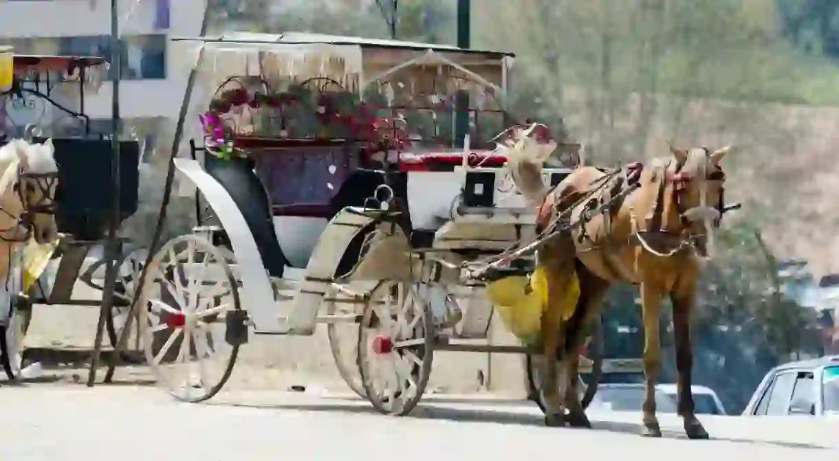 A caleche in Meknes