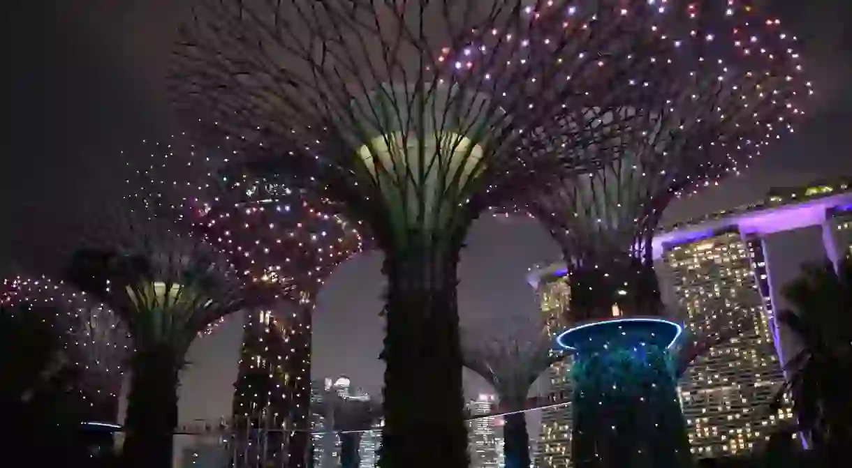 Super trees in Gardens by the bay