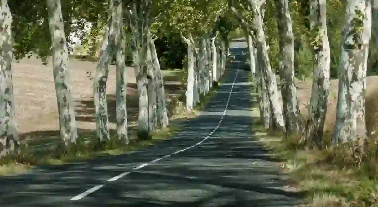 France is famous for its iconic tree-lined roads