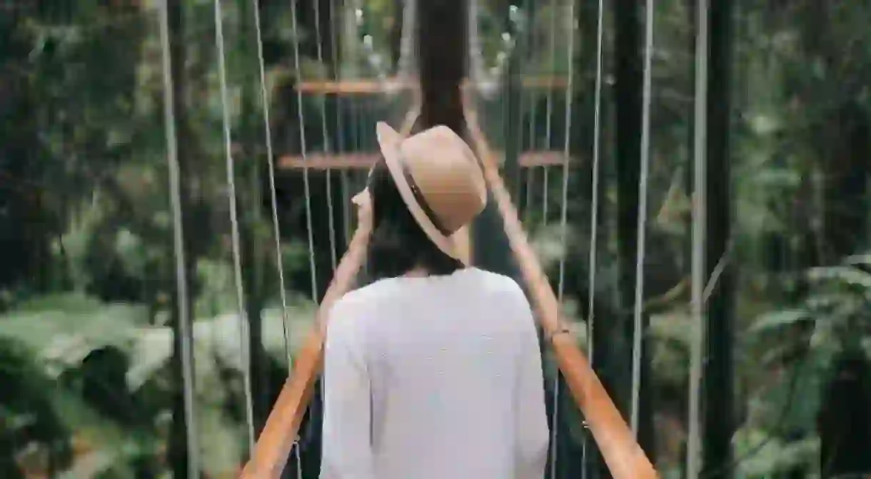 A person walking through the Redwoods Forest in Rotorua, New Zealand