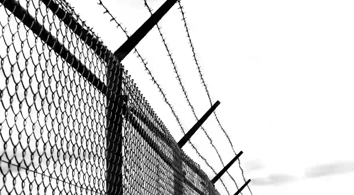 Barbed wire