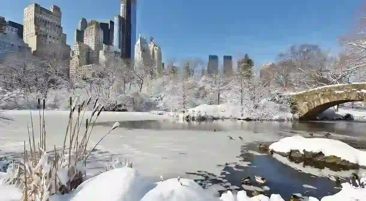 Cold weather in New York doesnt mean a colder climate the world over