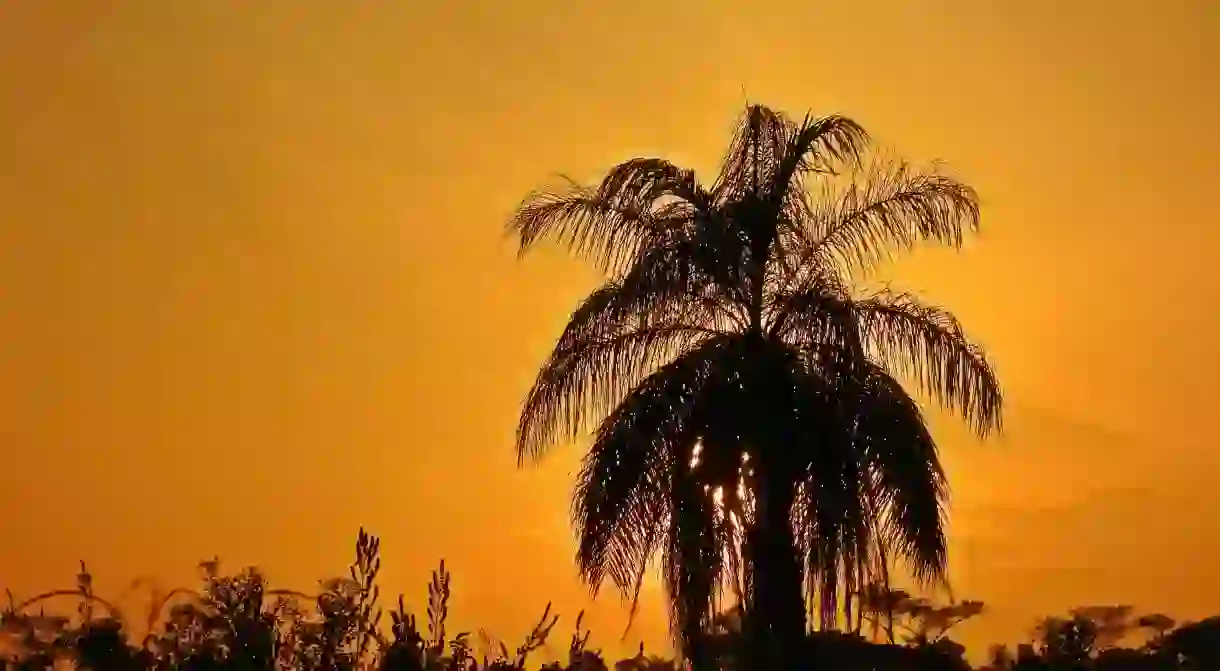 The great Eastern Plains of Colombia