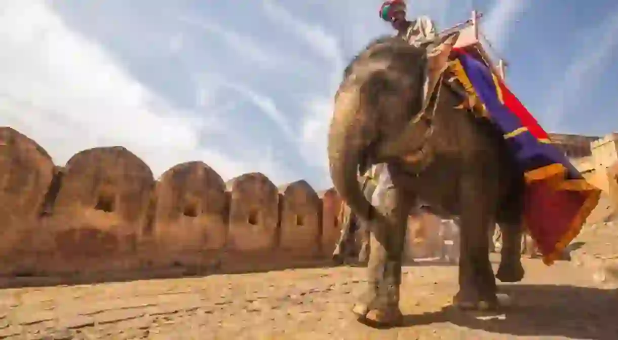 Elephant ride in Rajasthan