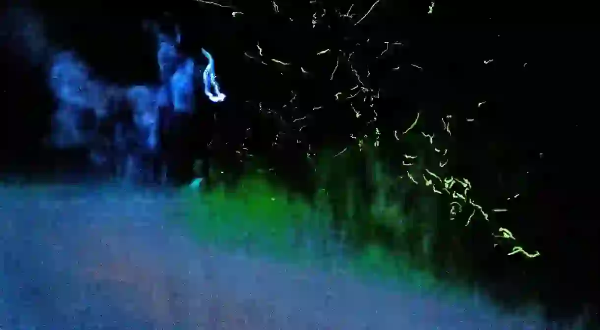 Fireflies Lighting Up the Sky