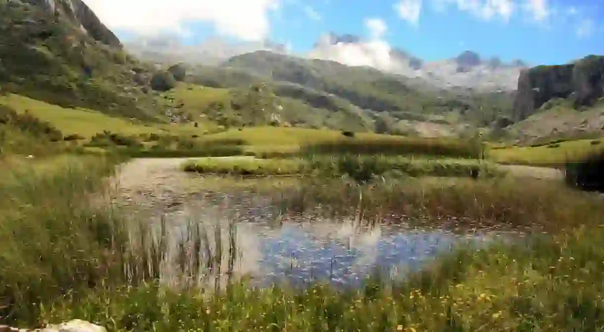 Green Spain, Asturias