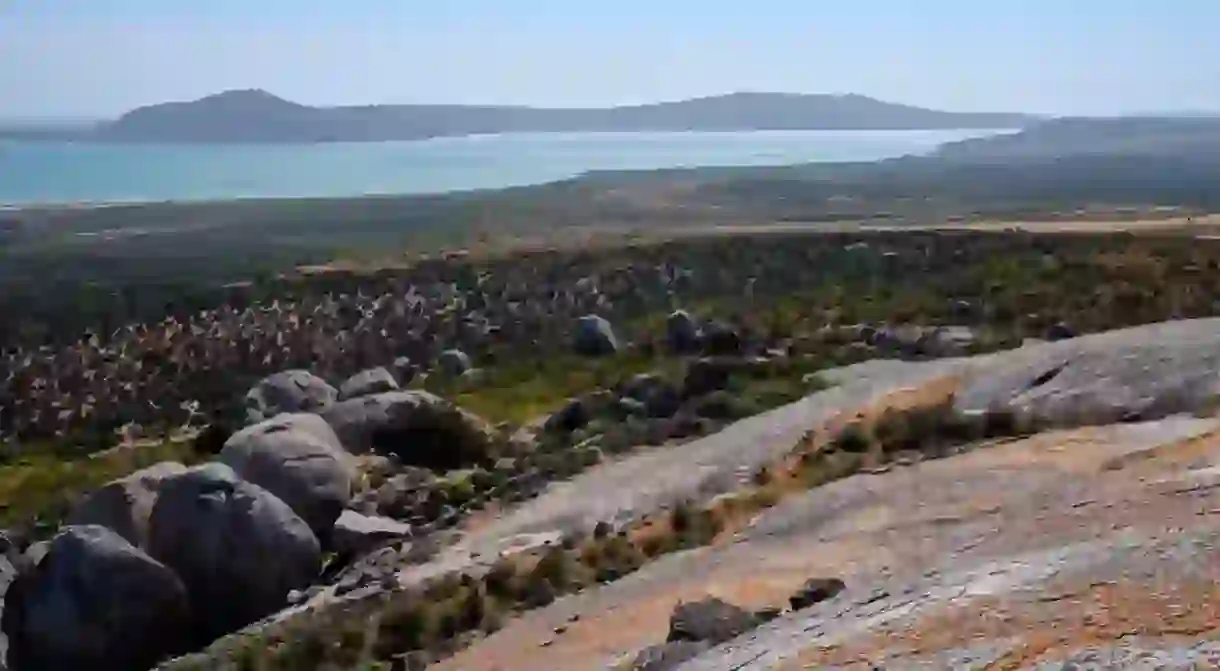 West Coast National Park