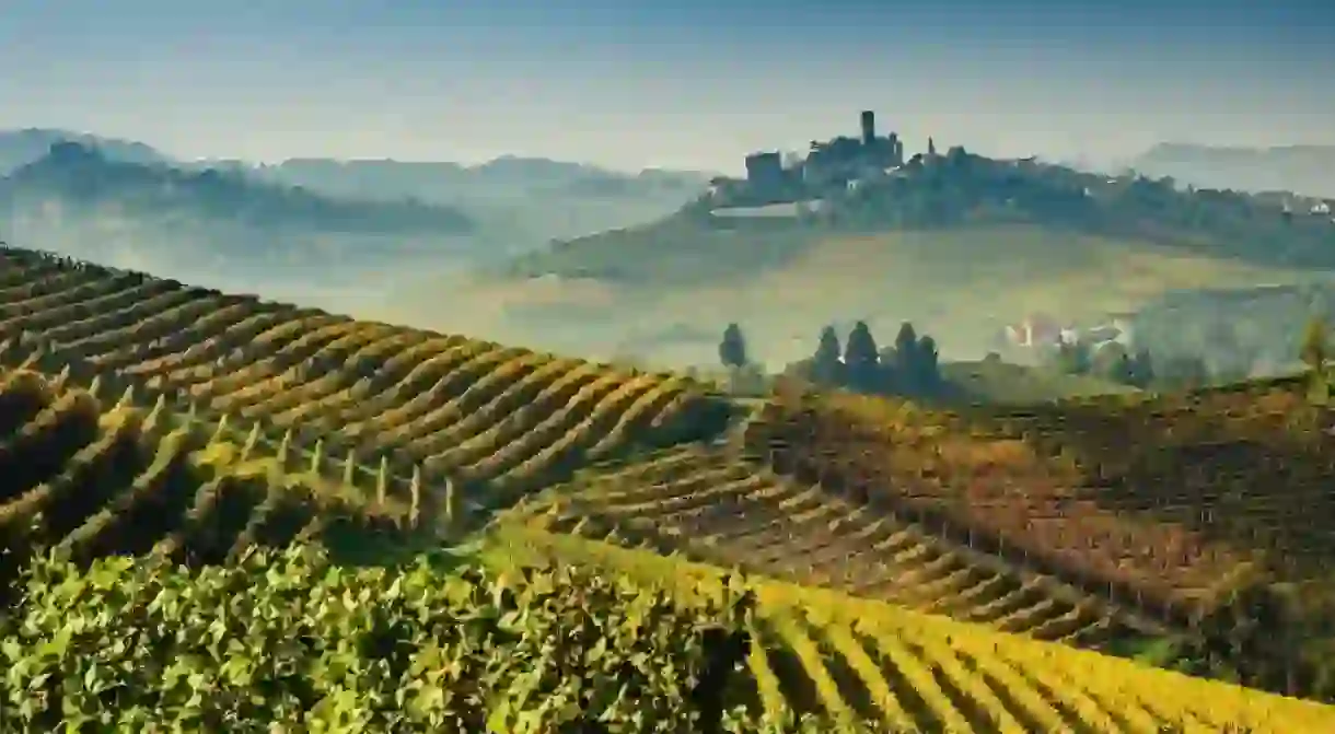 UNESCO protected vineyards in Lange, Piedmont