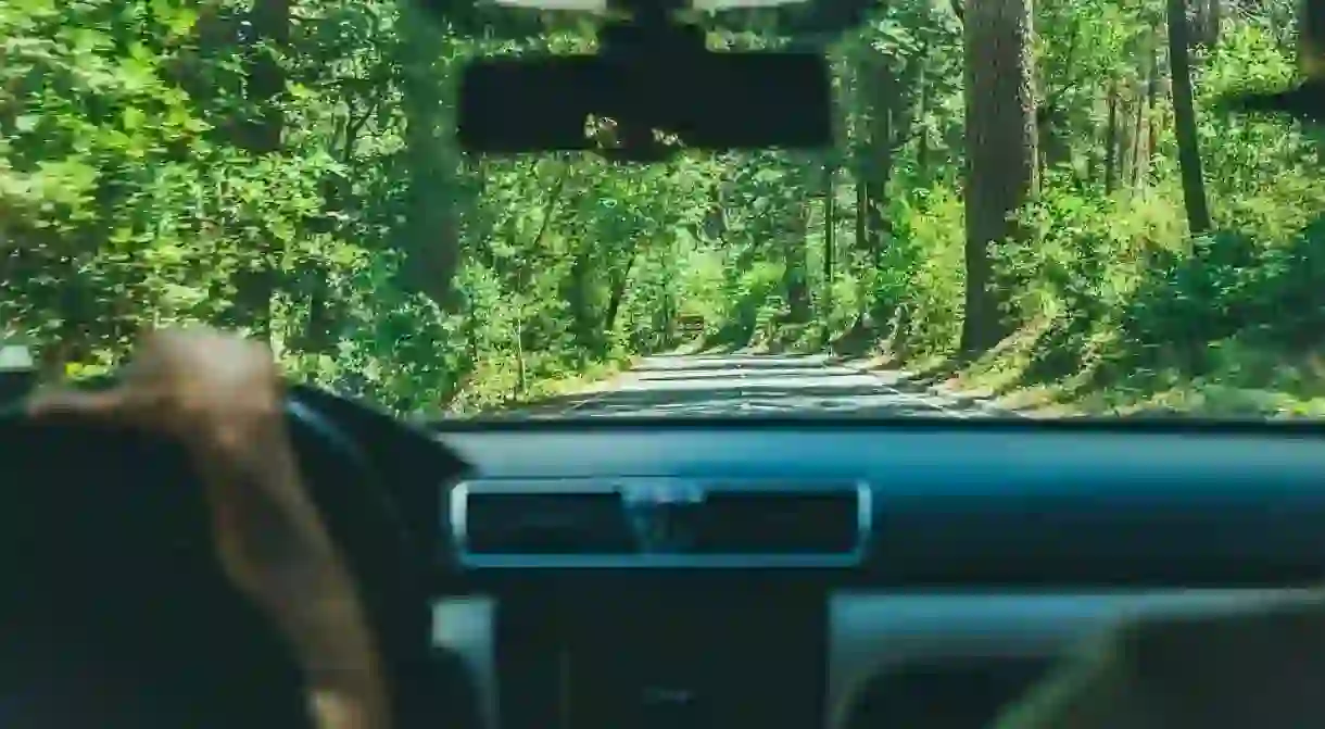 Driving on a Road Trip