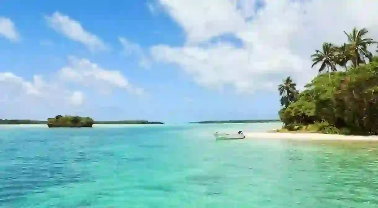 New Pines in the archipelago of New Caledonia