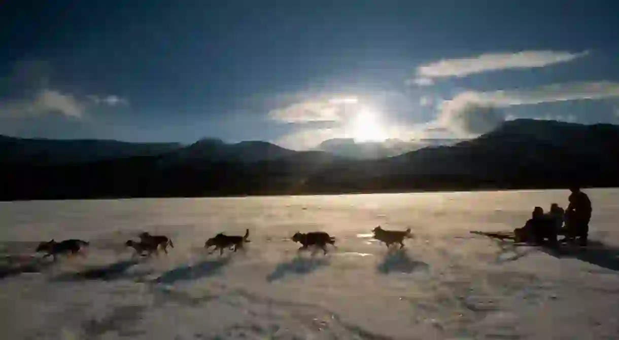 Dog sledding