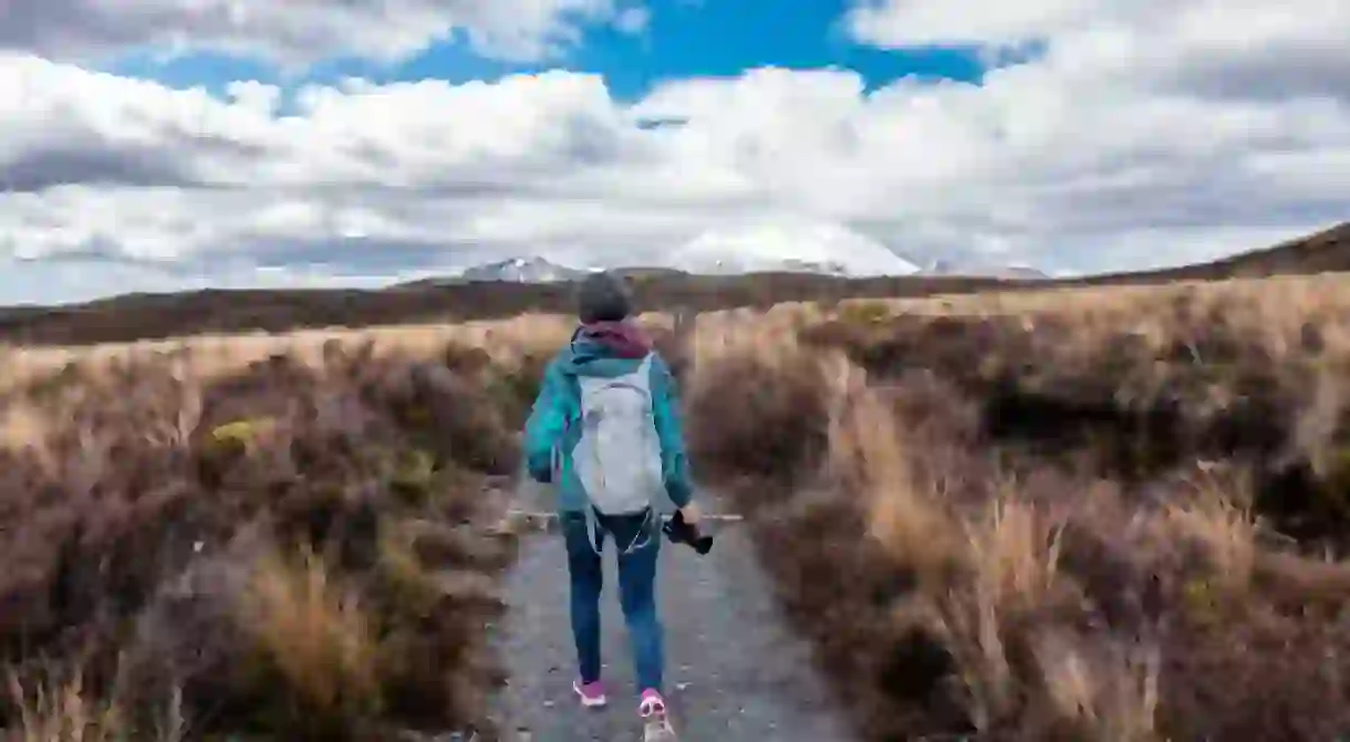 Trail Walk, Tongariro National Park