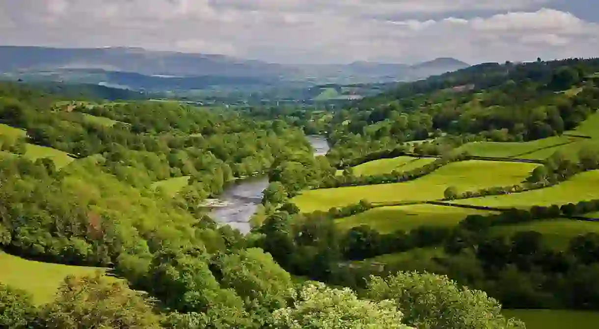 Wye Valley