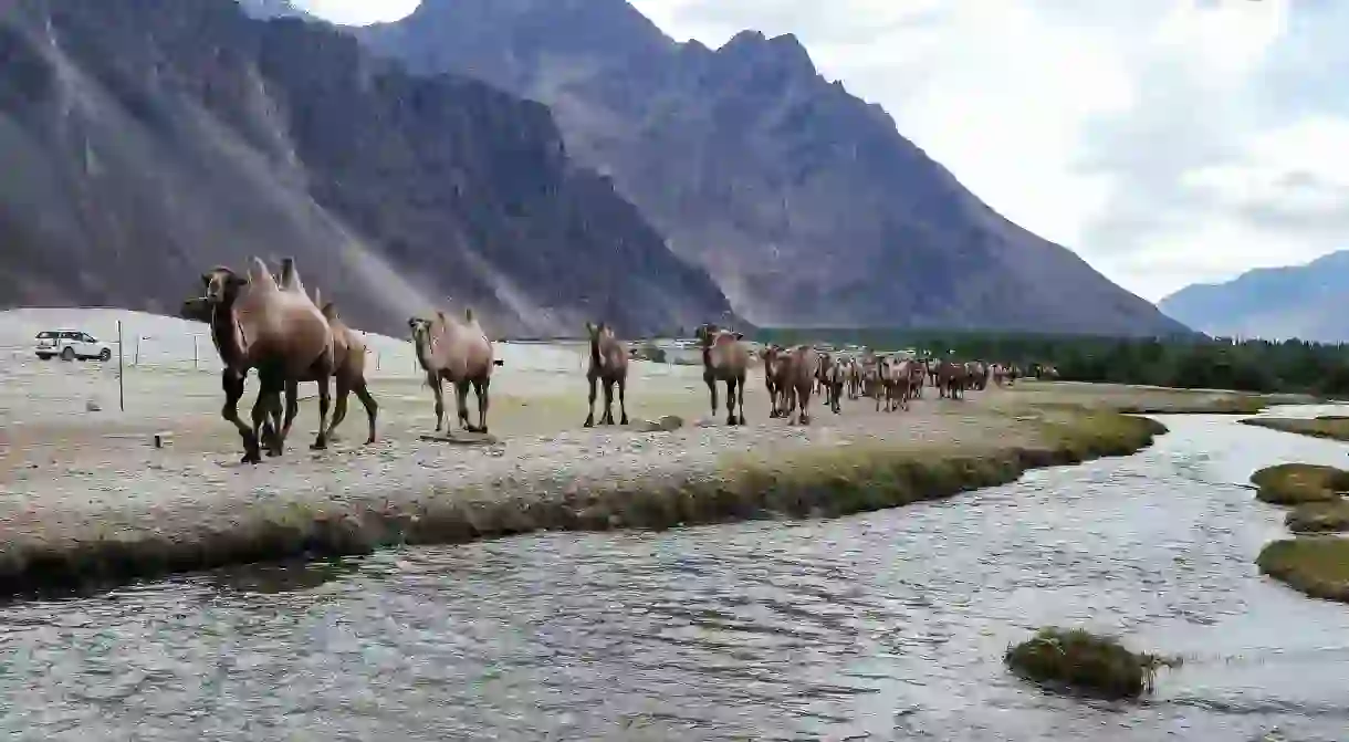 Nubra Valley