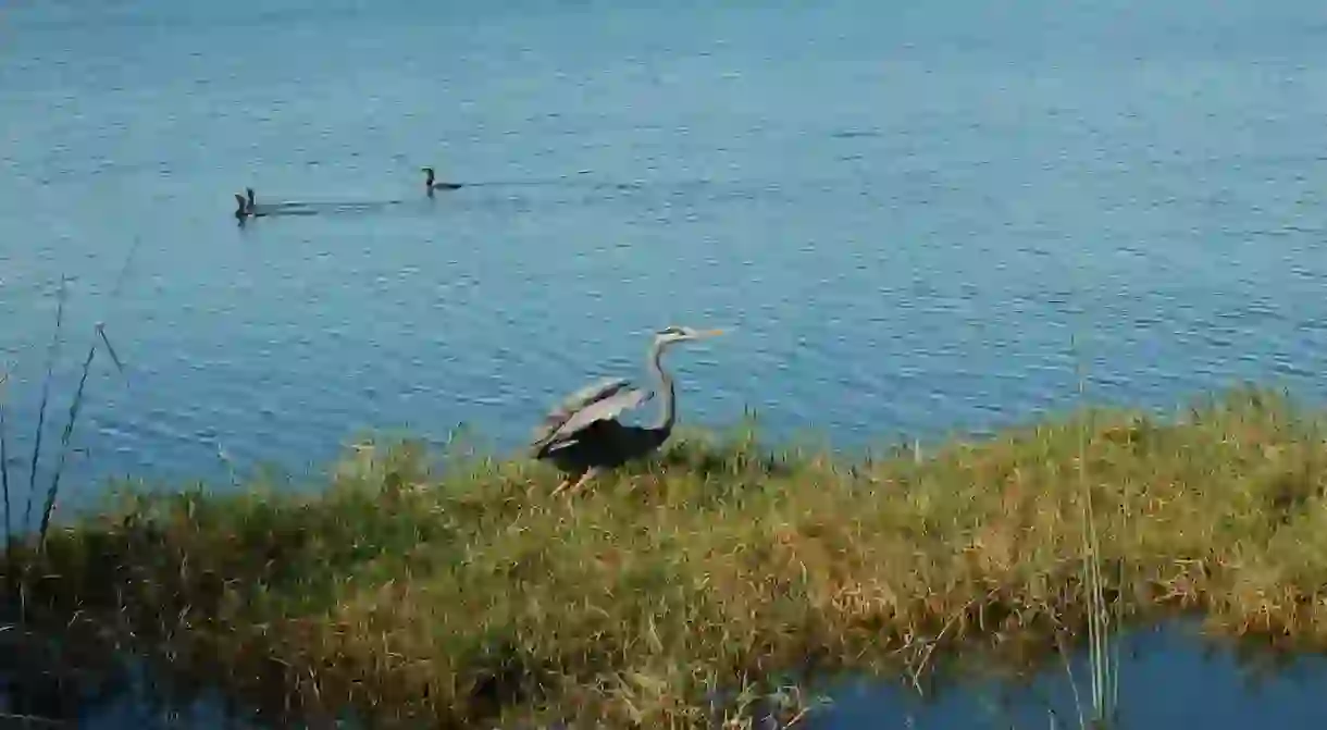 Go fishing in Lake Ivanhoe, Orlando