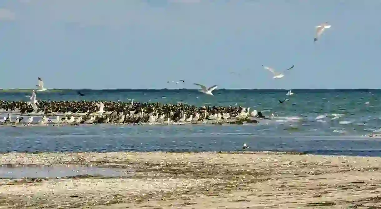 Kinburn Spit, Ukraine