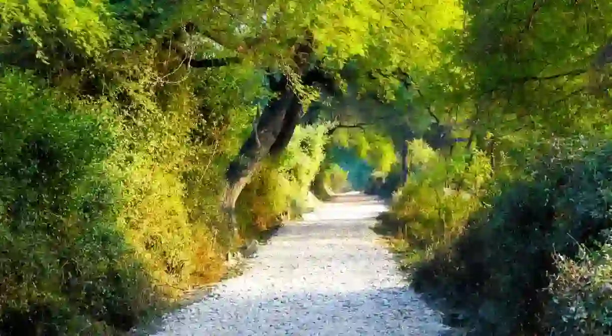 A view of Bharatpur Bird Sanctuary, situated three hours away from Gwalior