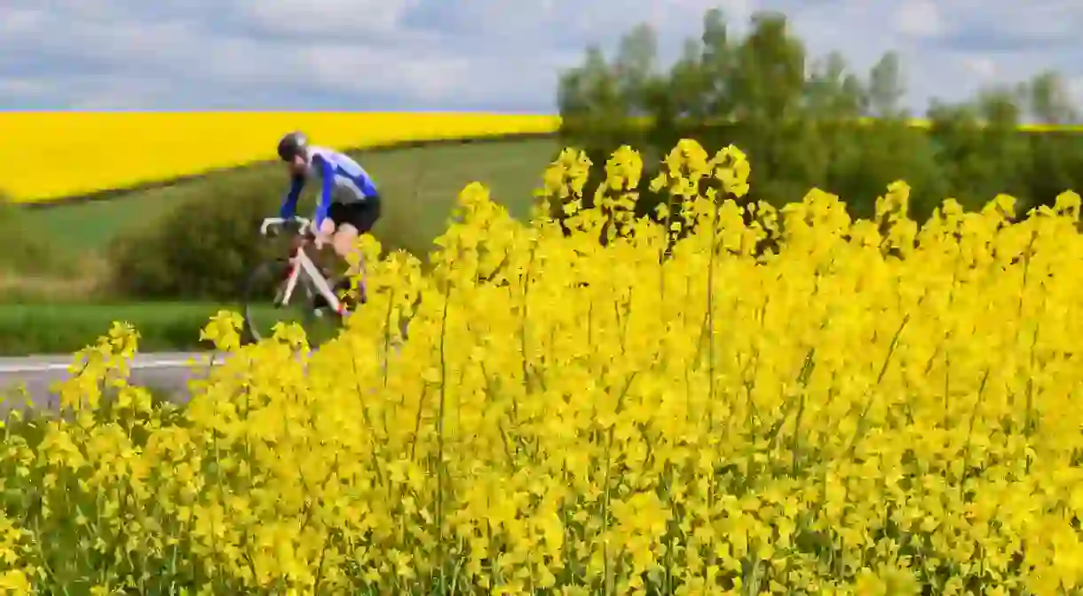 Cyclist