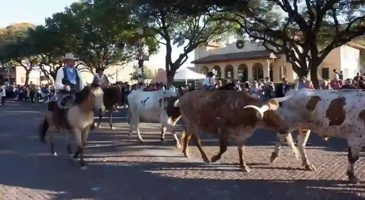 A Fort Worth Stock Yards cattle drive