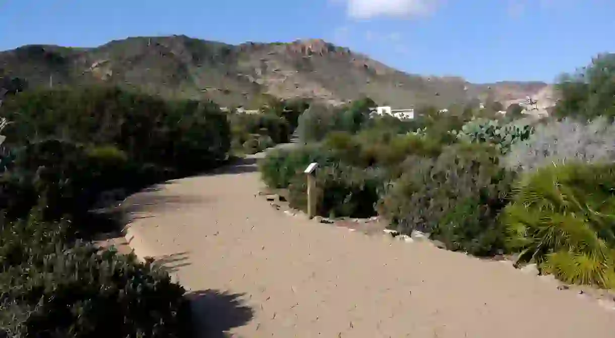 The Albardinal Botanical Garden, in Almerias Cabo de Gata Natural Park I