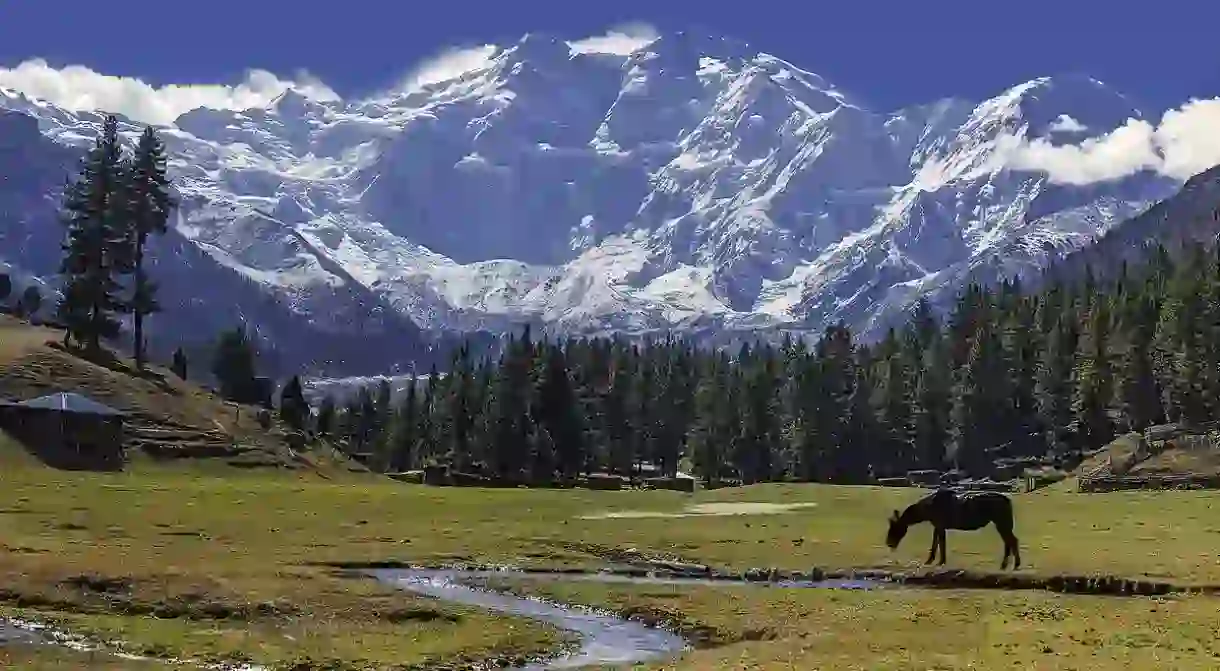 Fairy meadows with the glorious Nanga Parbat Mountain, Pakistan